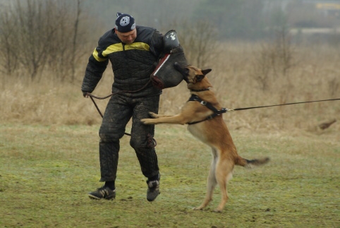 Training in Estonia 11. - 13. 4. 2008