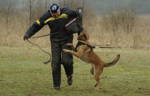 Training in Estonia 11. - 13. 4. 2008