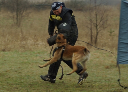 Training in Estonia 11. - 13. 4. 2008