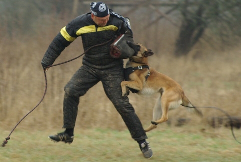 Training in Estonia 11. - 13. 4. 2008