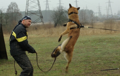 Training in Estonia 11. - 13. 4. 2008