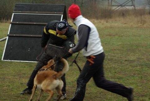 Training in Estonia 11. - 13. 4. 2008