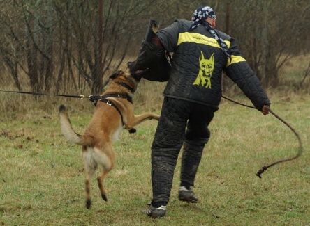 Training in Estonia 11. - 13. 4. 2008