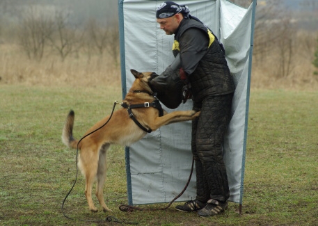 Training in Estonia 11. - 13. 4. 2008