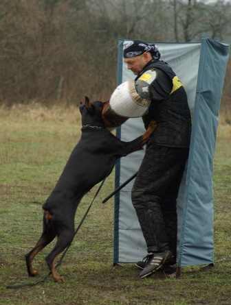 Training in Estonia 11. - 13. 4. 2008