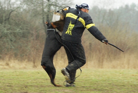 Training in Estonia 11. - 13. 4. 2008