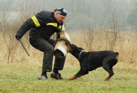 Training in Estonia 11. - 13. 4. 2008