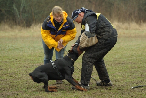 Training in Estonia 11. - 13. 4. 2008