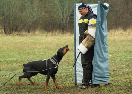 Training in Estonia 11. - 13. 4. 2008