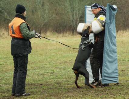 Training in Estonia 11. - 13. 4. 2008