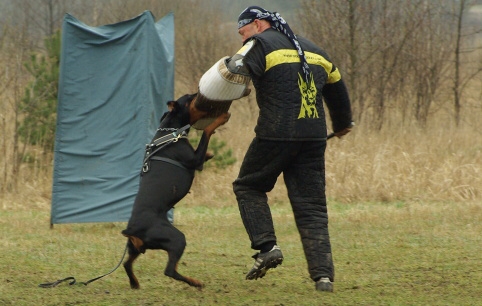 Training in Estonia 11. - 13. 4. 2008