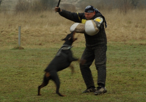 Training in Estonia 11. - 13. 4. 2008