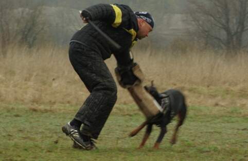 Training in Estonia 11. - 13. 4. 2008