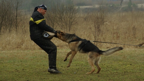 Training in Estonia 11. - 13. 4. 2008