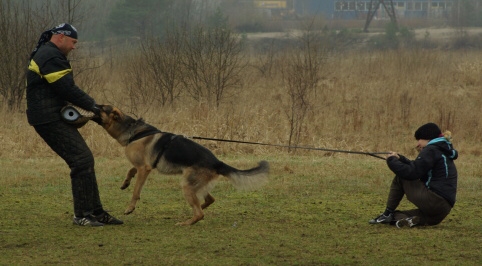 Training in Estonia 11. - 13. 4. 2008