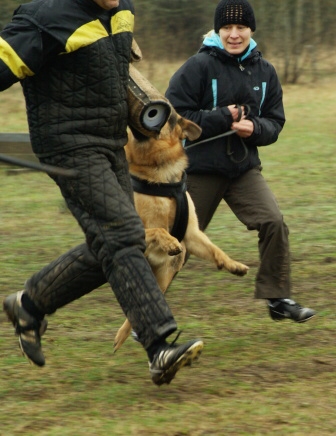 Training in Estonia 11. - 13. 4. 2008