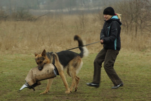 Training in Estonia 11. - 13. 4. 2008