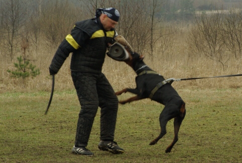 Training in Estonia 11. - 13. 4. 2008