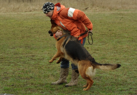 Training in Estonia 11. - 13. 4. 2008