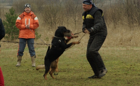 Training in Estonia 11. - 13. 4. 2008