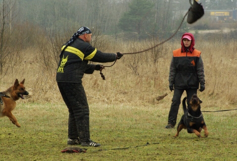 Training in Estonia 11. - 13. 4. 2008