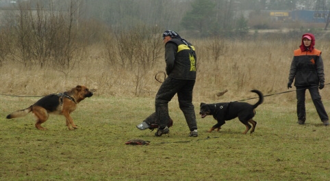 Training in Estonia 11. - 13. 4. 2008