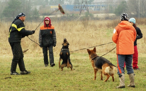 Training in Estonia 11. - 13. 4. 2008