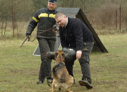 Training in Estonia 11. - 13. 4. 2008