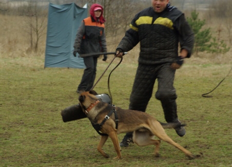 Training in Estonia 11. - 13. 4. 2008