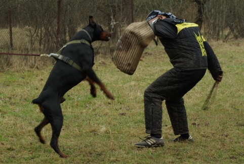 Training in Estonia 11. - 13. 4. 2008