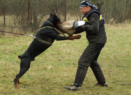 Training in Estonia 11. - 13. 4. 2008