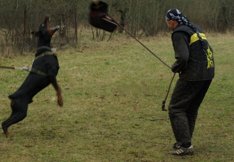 Training in Estonia 11. - 13. 4. 2008