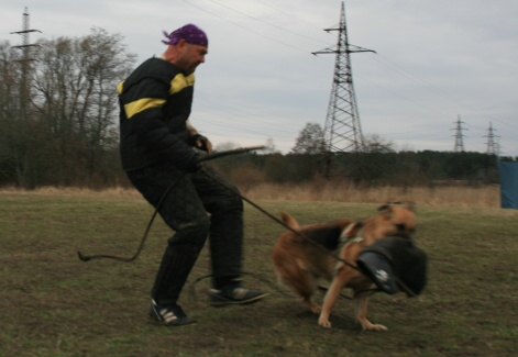 Training in Estonia 11. - 13. 4. 2008