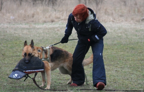 Training in Estonia 11. - 13. 4. 2008