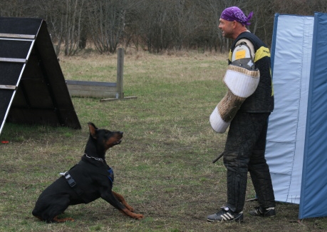 Training in Estonia 11. - 13. 4. 2008