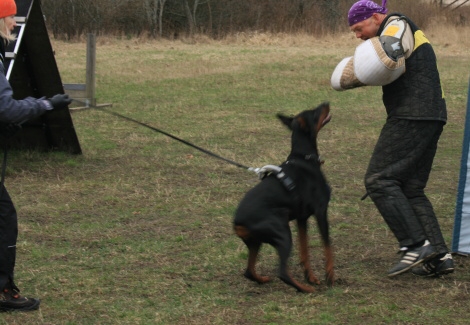 Training in Estonia 11. - 13. 4. 2008