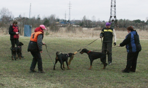 Training in Estonia 11. - 13. 4. 2008