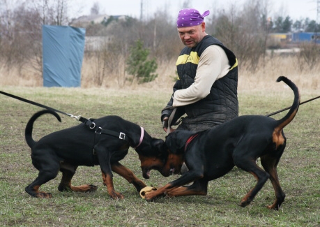 Training in Estonia 11. - 13. 4. 2008