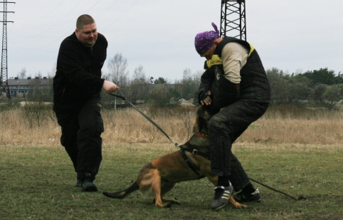 Training in Estonia 11. - 13. 4. 2008