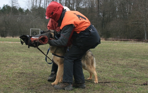 Training in Estonia 11. - 13. 4. 2008