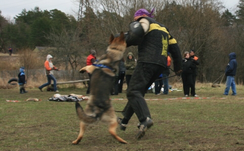 Training in Estonia 11. - 13. 4. 2008