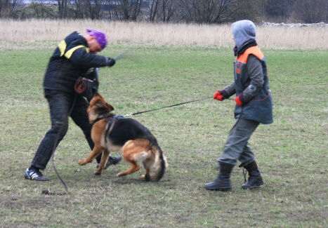 Training in Estonia 11. - 13. 4. 2008