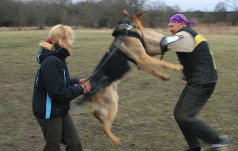 Training in Estonia 11. - 13. 4. 2008