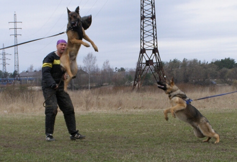 Training in Estonia 11. - 13. 4. 2008