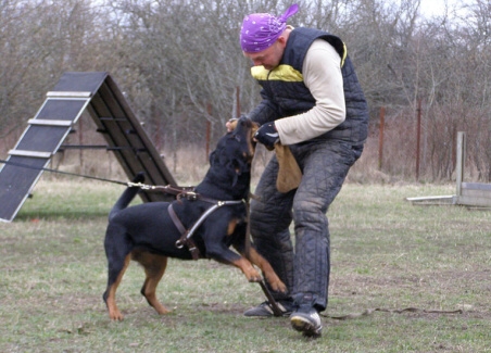 Training in Estonia 11. - 13. 4. 2008