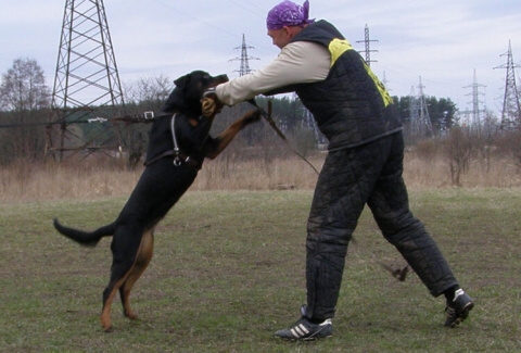 Training in Estonia 11. - 13. 4. 2008