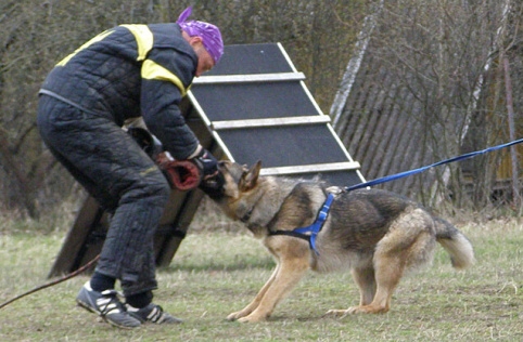 Training in Estonia 11. - 13. 4. 2008