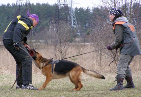 Training in Estonia 11. - 13. 4. 2008