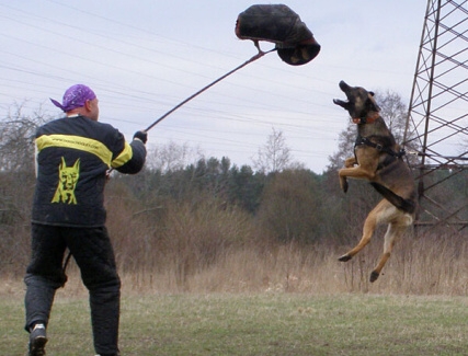 Training in Estonia 11. - 13. 4. 2008