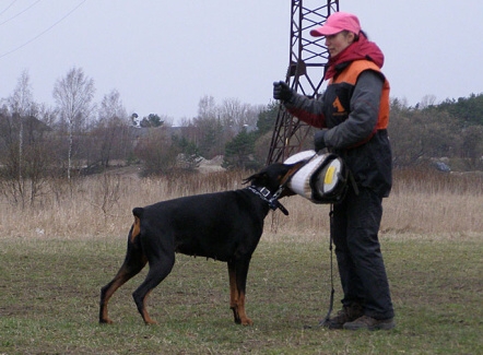 Training in Estonia 11. - 13. 4. 2008